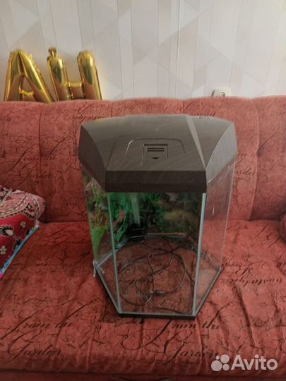 Аквариум 50 литров