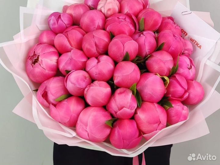 Пионы/Пионы в букет/21,31,51