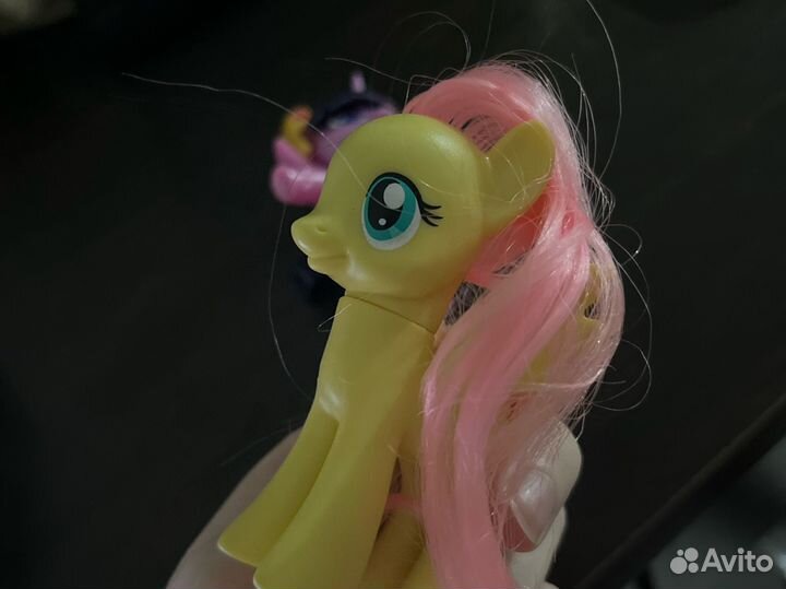 My little pony флаттершай