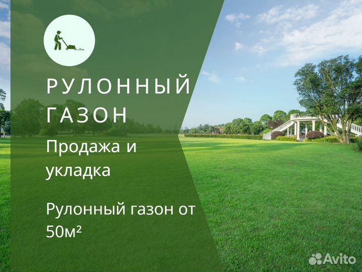 Продажа рулонного газона