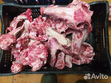 Кости для собак