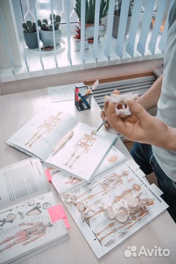 Репетитор по химии и биологии