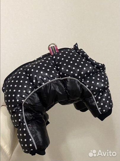 Зимний комбинезон и обувь для маленькой собачки