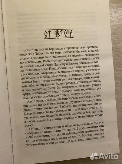 Мишель Пейвер Брат волк