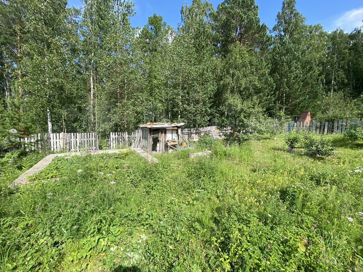 Участок 6,2 сот. (СНТ, ДНП)