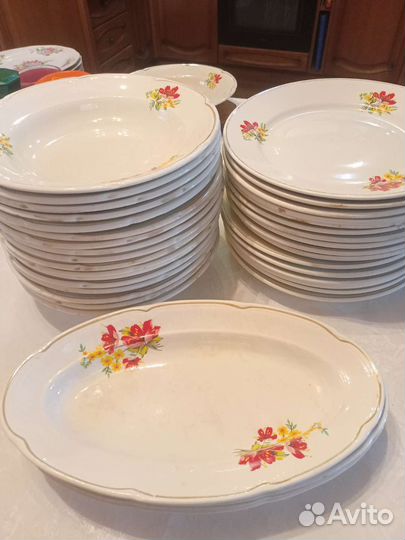 Тарелки для огорода, дачи