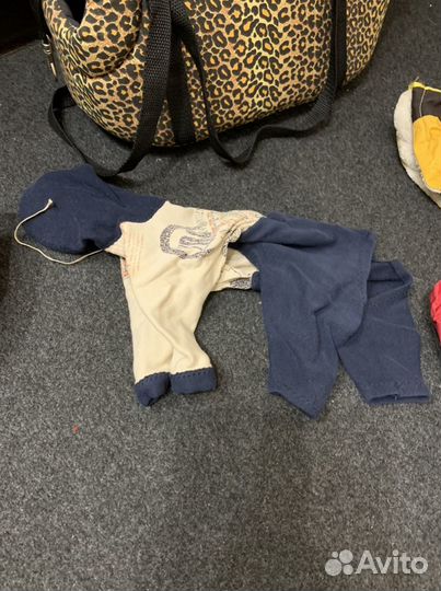 Вещи для животных