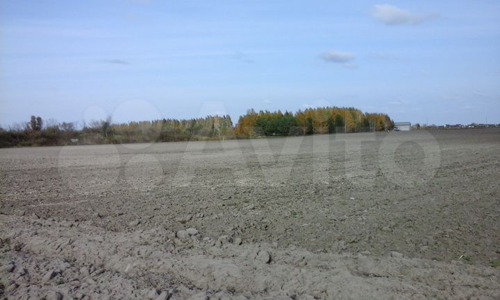 Участок 3,2 га (СНТ, ДНП)