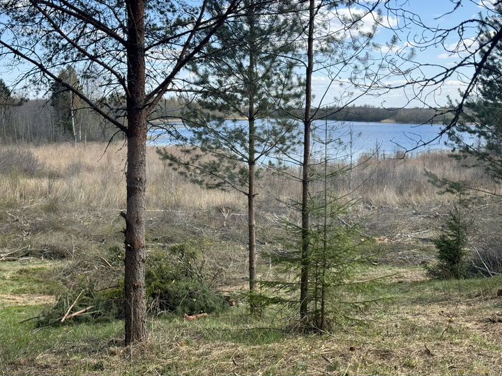 Участок 15 сот. (ИЖС)