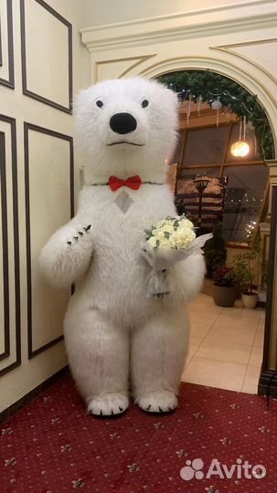 Аниматоры Надувной Мишка