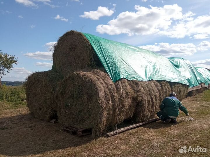 Сено люцерны в рулонах