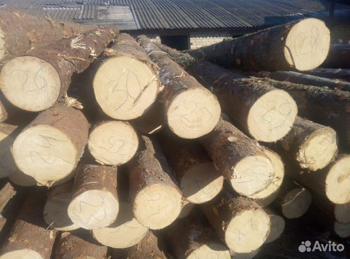 Лес кругляк