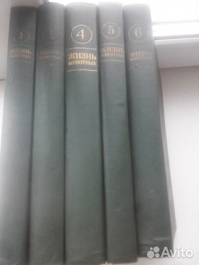 Жизнь животных