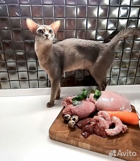 Натуральное питание для кошек (мясные миксы)