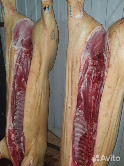 Свинина и говядина домашняя всё своё хозяйство