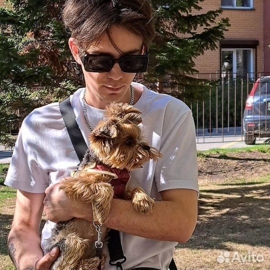 Любая работа, подработка