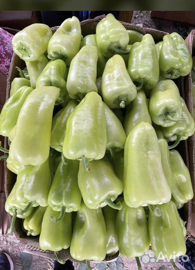 Овощи оптом