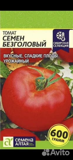 Рассада помидор