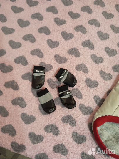 Курточка для собаки