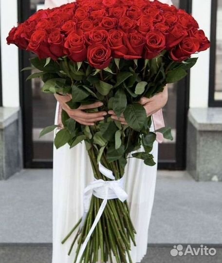 51 Роза, Букеты Цветы Розы 25 101 501 1001