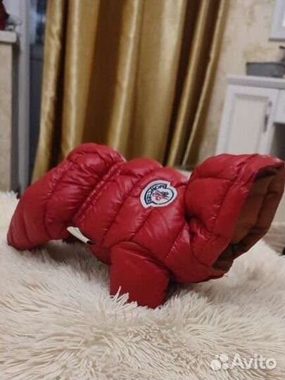 Комбинезон для маленьких пород собак