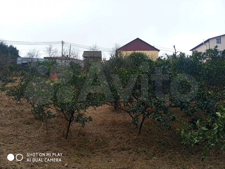 Участок 10 сот. (СНТ, ДНП)