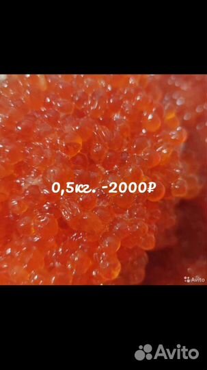 Красная икра