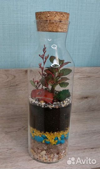 Флорариум с фиттонией