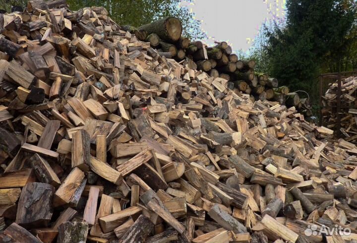 Дрова из леса