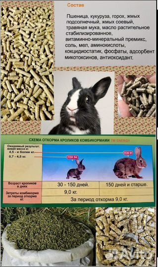 Корм для кролей