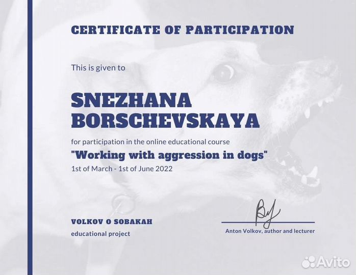 Кинолог. Дрессировка собак. Екатеринбург