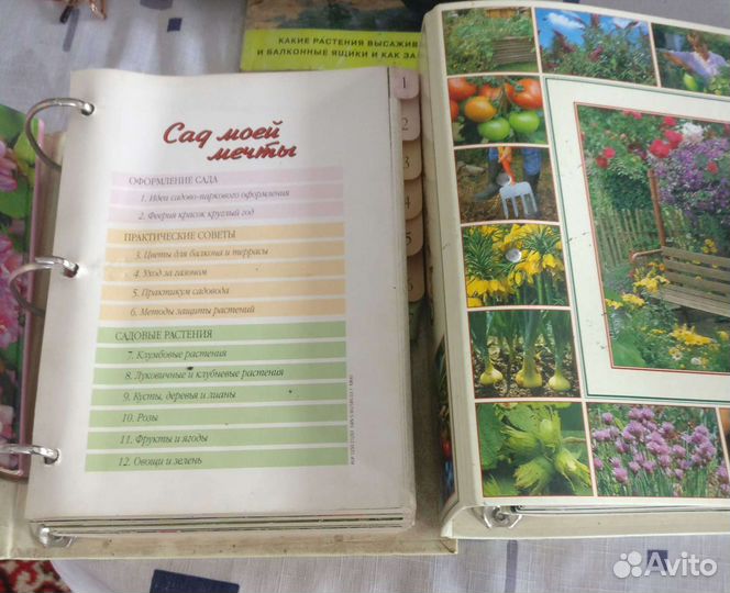 Здоровье, цветы, кулинария