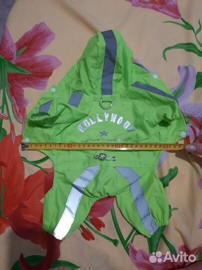 Одежда для собак мелких пород