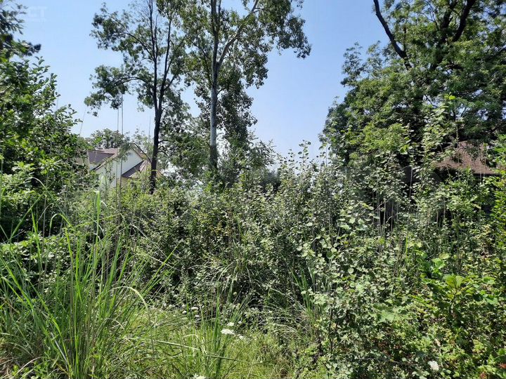 Участок 6 сот. (ИЖС)