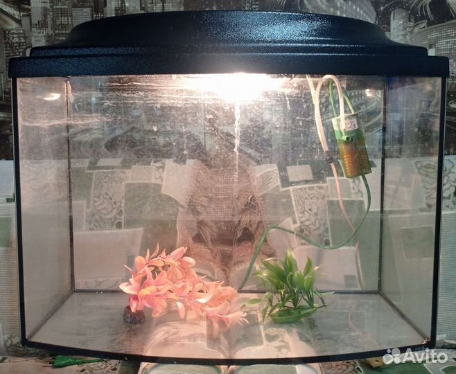 Аквариум