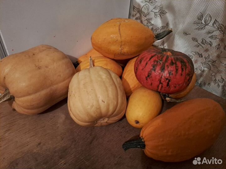 Грибы соленые,тыква