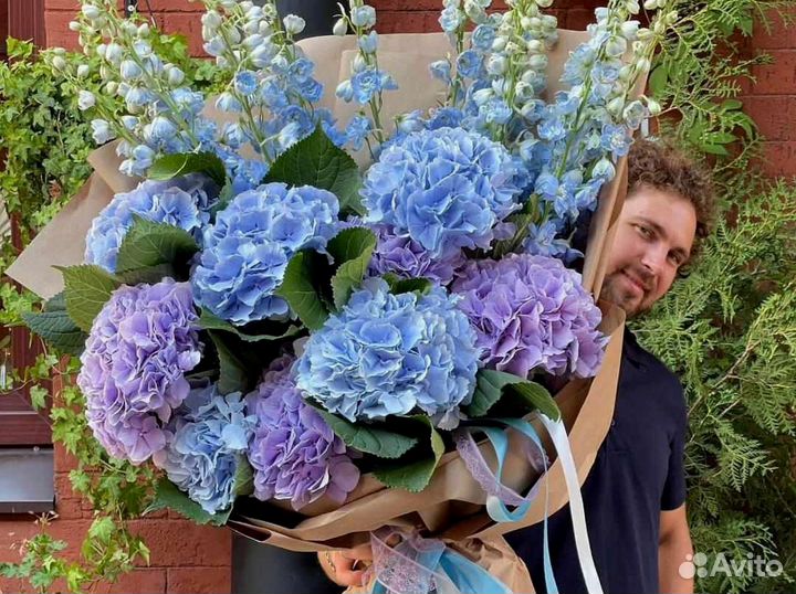 Гортенизии