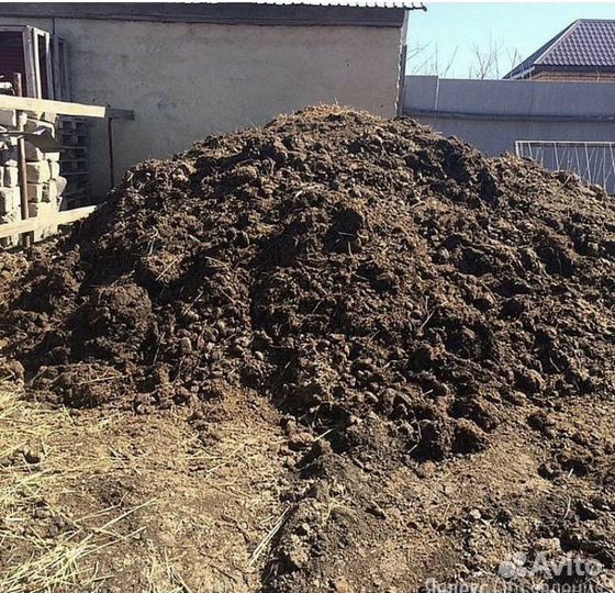 Навоз перегной