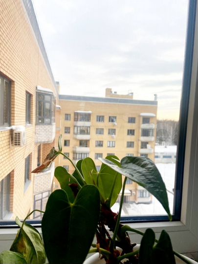 3-к. квартира, 98,6 м², 7/7 эт.