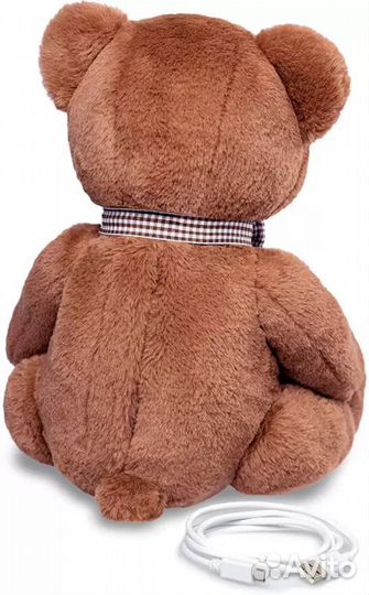 Умный мишка