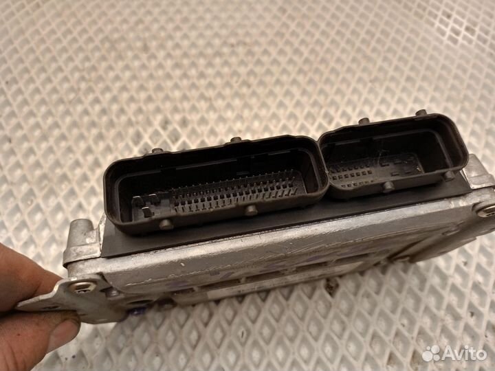 Эбу, мозги 1,3 Zaz Chance, Sens