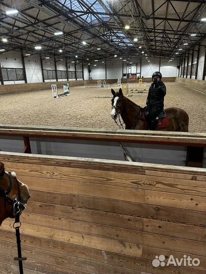 Обучение верховой езде