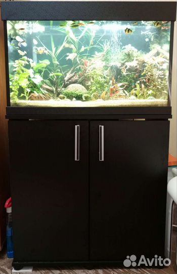 Чистка аквариума в Москве