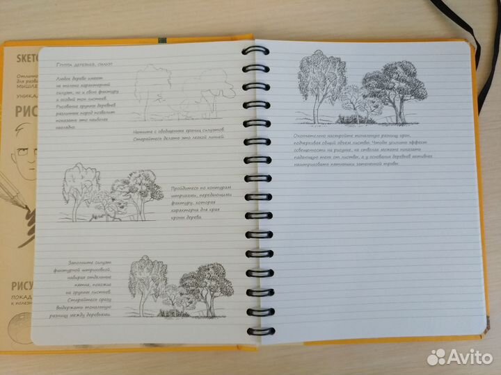 Скетчбук Рисуем пейзаж. Экспресс-курс рисования