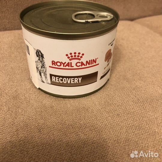 Royal Canin recovery корм для животных