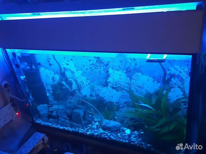 Аквариум 350л