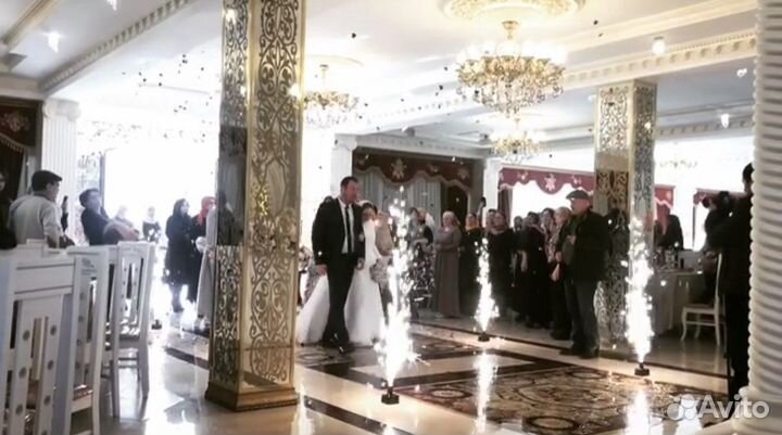 Тамада диджей музыканты певцы дым ведущие звук