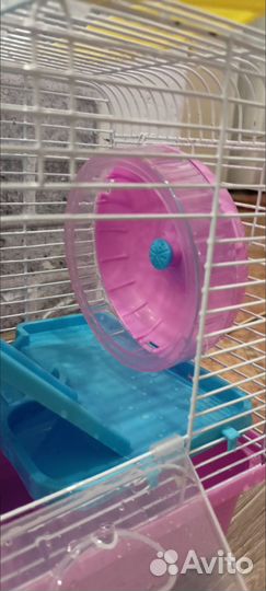 Клетка для джунгарского хомяка