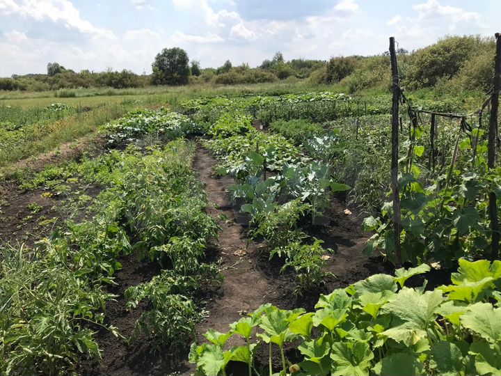 Дом 48 м² на участке 23 сот.