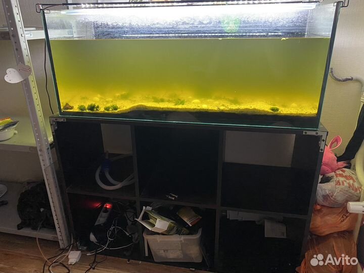 Аквариум на 150 литров + стеллаж